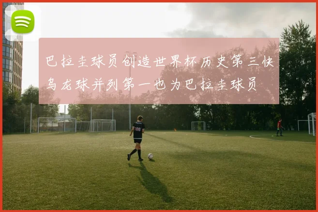 巴拉圭球员创造世界杯历史第三快乌龙球并列第一也为巴拉圭球员
